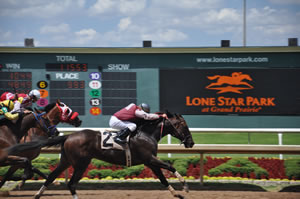 horse race